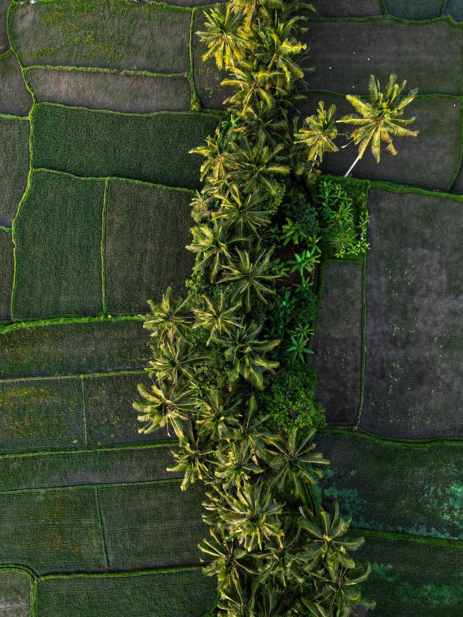 Hotel Ayu Duwur Beji Ubud Exterior foto